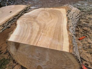 A00003_2.jpg Ash Slab 69"-99"x41"-51"x3"