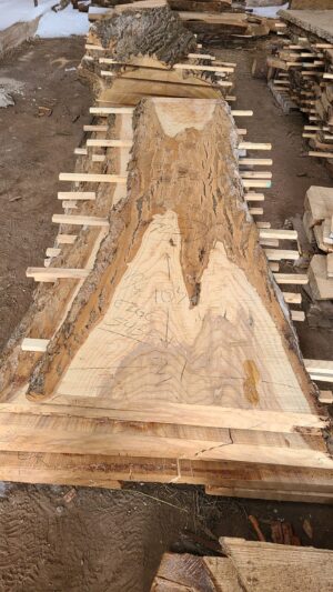 A00007_0.jpg Ash Slab 103"x24"-31"x2.5"