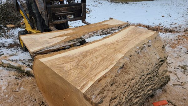 A00008_1.jpg Ash Slab 103"x23"-40"x2.5"