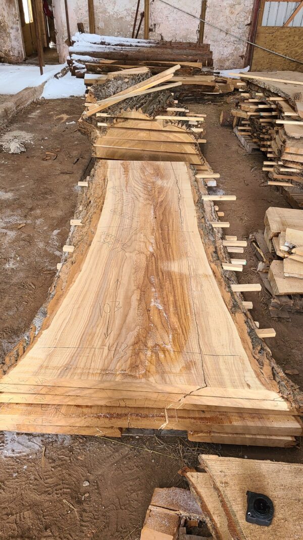 A00009_0.jpg Ash Slab 103"x29"-43"x2.5"