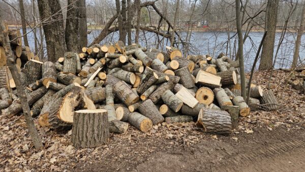 AspenChunks_1.jpg Aspen Firewood - Chunks - Seasoned