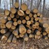 AspenLogs_2.jpg Aspen Firewood - Logs