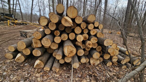 AspenLogs_2.jpg Aspen Firewood - Logs