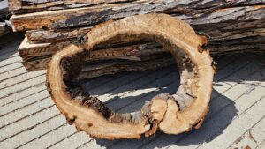 BA00001.jpg Wild Hallow Basswood Cookie 28"x37"x4"