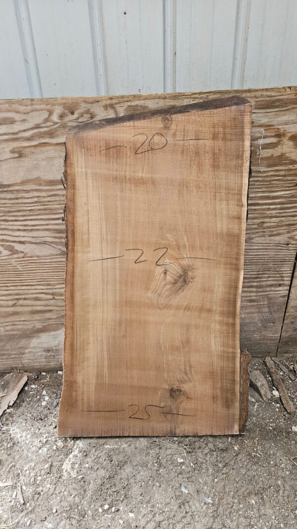 BW00005_3.jpg Black Walnut Live Edge Slab 41"x20"-25"x2"
