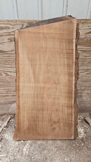BW00006_1.jpg Black Walnut Live Edge Slab 41"x18"-24"x2"