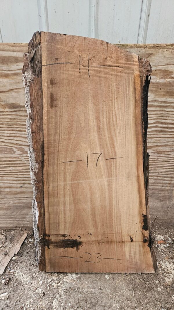 BW00006_3.jpg Black Walnut Live Edge Slab 41"x18"-24"x2"