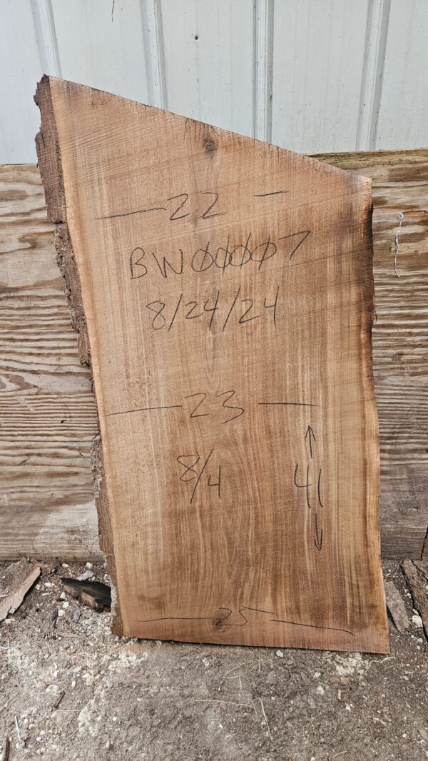 BW00007_2.jpg Black Walnut Live Edge Slab 41"x22"-25"x2"