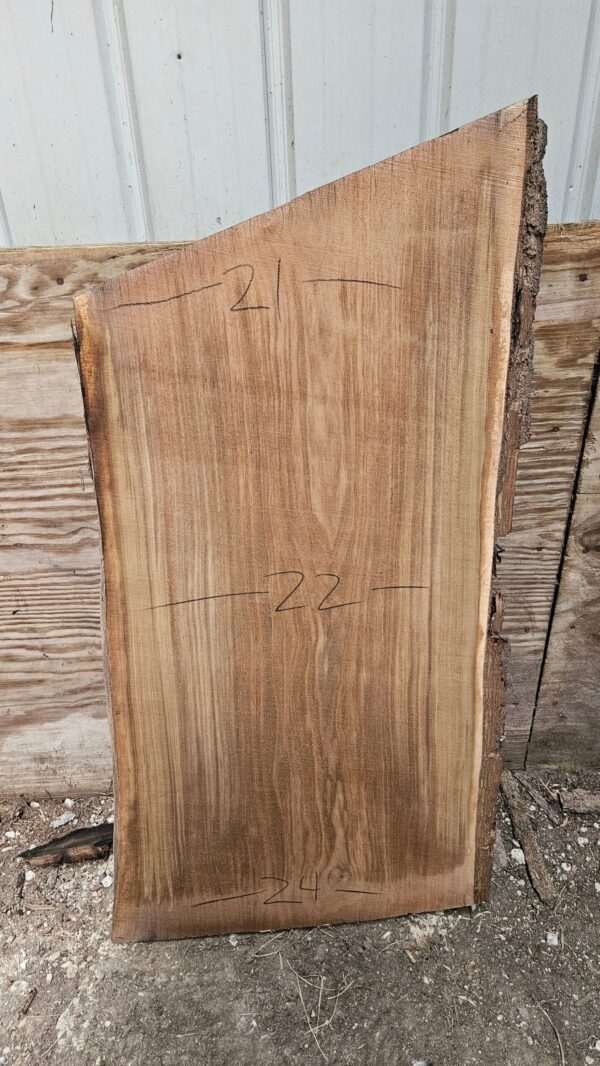 BW00007_3.jpg Black Walnut Live Edge Slab 41"x22"-25"x2"