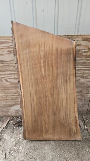 BW00008_1.jpg Black Walnut Live Edge Slab 41"x22"-24"x2"