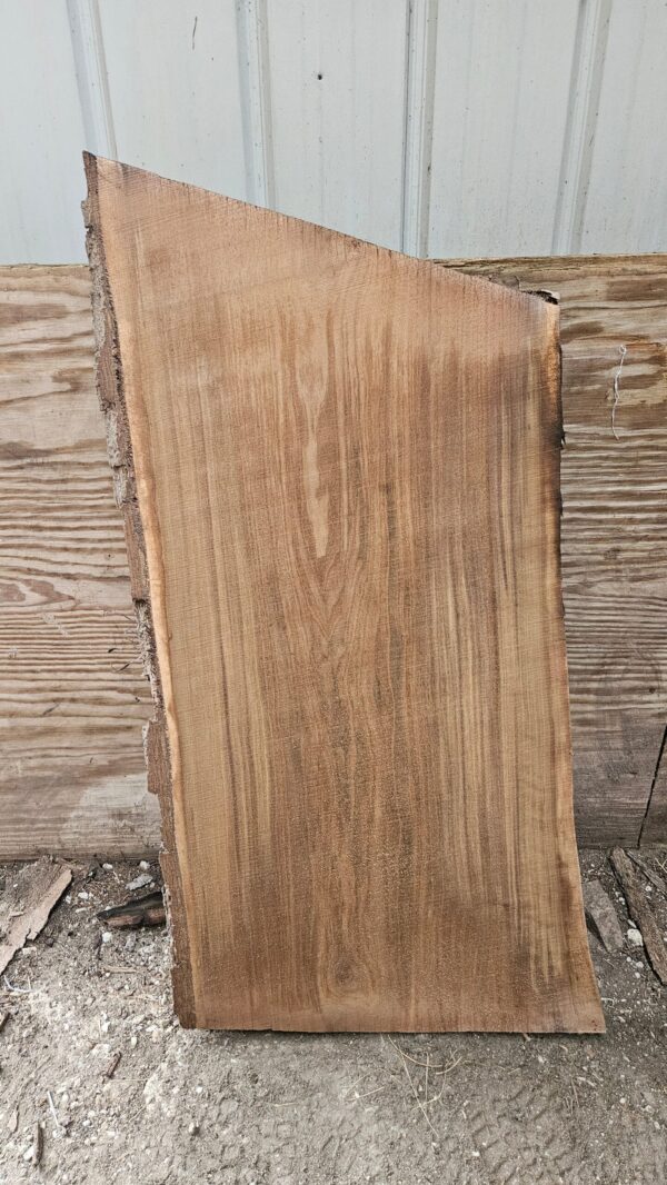 BW00008_1.jpg Black Walnut Live Edge Slab 41"x22"-24"x2"