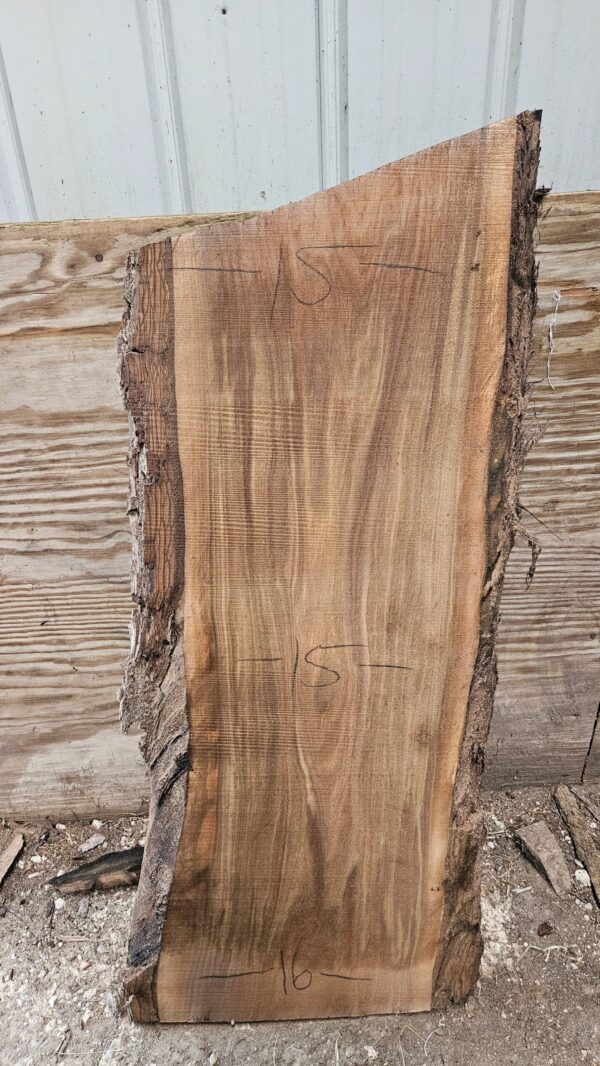BW00010_2.jpg Black Walnut Live Edge Slab 42"x18"-20"x2"