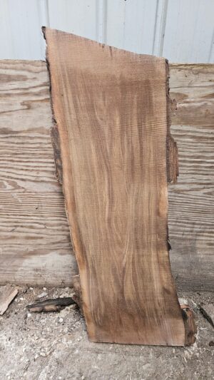 BW00011_1.jpg Black Walnut Live Edge Slab 43"x15"x2"