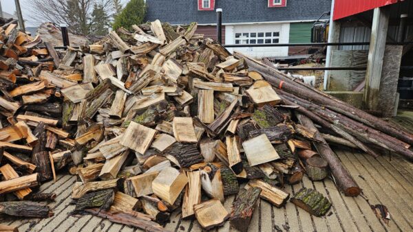 Basswood.jpg Basswood Firewood - Split