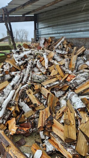 BirchFirewood_3.jpg Birch Firewood - Split