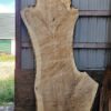 CW00001_3.jpg Cottonwood Slab 125"x20"-55"x2.5"