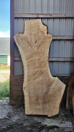 CW00001_3.jpg Cottonwood Slab 125"x20"-55"x2.5"