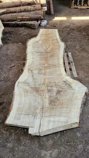 CW00002_5.jpg Cottonwood Slab 125"x26"-53"x2.25"
