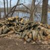 Elm_1.jpg Elm Firewood - Chunks - Unseasoned