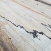 HM00001_1.jpg Spalted Sugar Maple Live Edge Slab 51"x9"-22"x2"