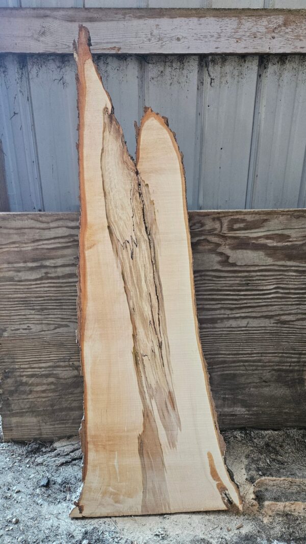 HM00001_2.jpg Spalted Sugar Maple Live Edge Slab 51"x9"-22"x2"