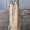 HM00001_3.jpg Spalted Sugar Maple Live Edge Slab 51"x9"-22"x2"