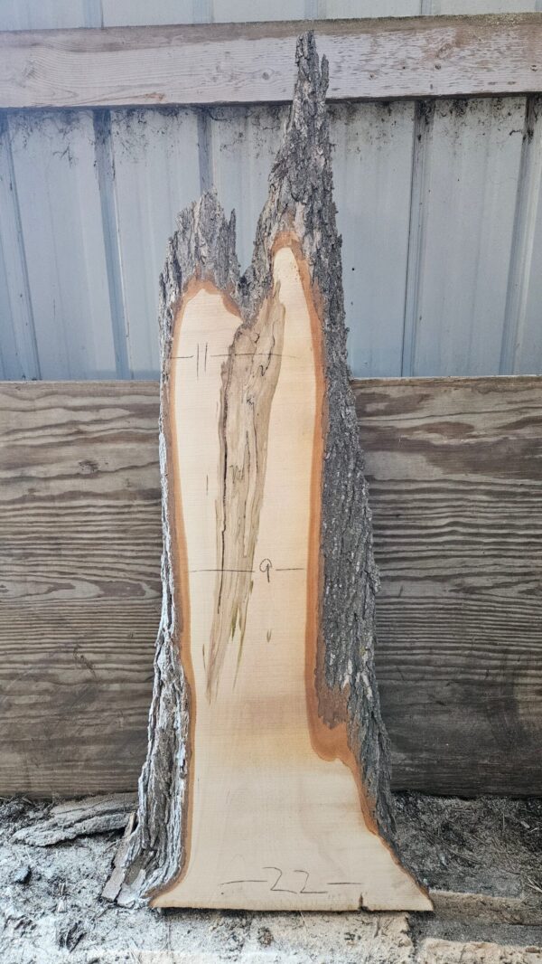 HM00001_3.jpg Spalted Sugar Maple Live Edge Slab 51"x9"-22"x2"