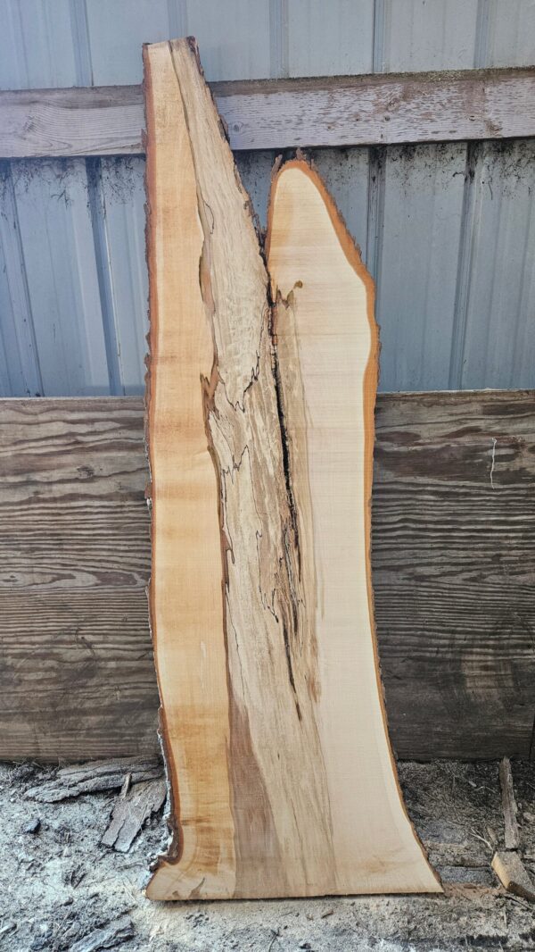 HM00002_1.jpg Spalted Sugar Maple Live Edge Slab 56"-76"x18"-25"x2"