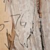 HM00002_3.jpg Spalted Sugar Maple Live Edge Slab 56"-76"x18"-25"x2"