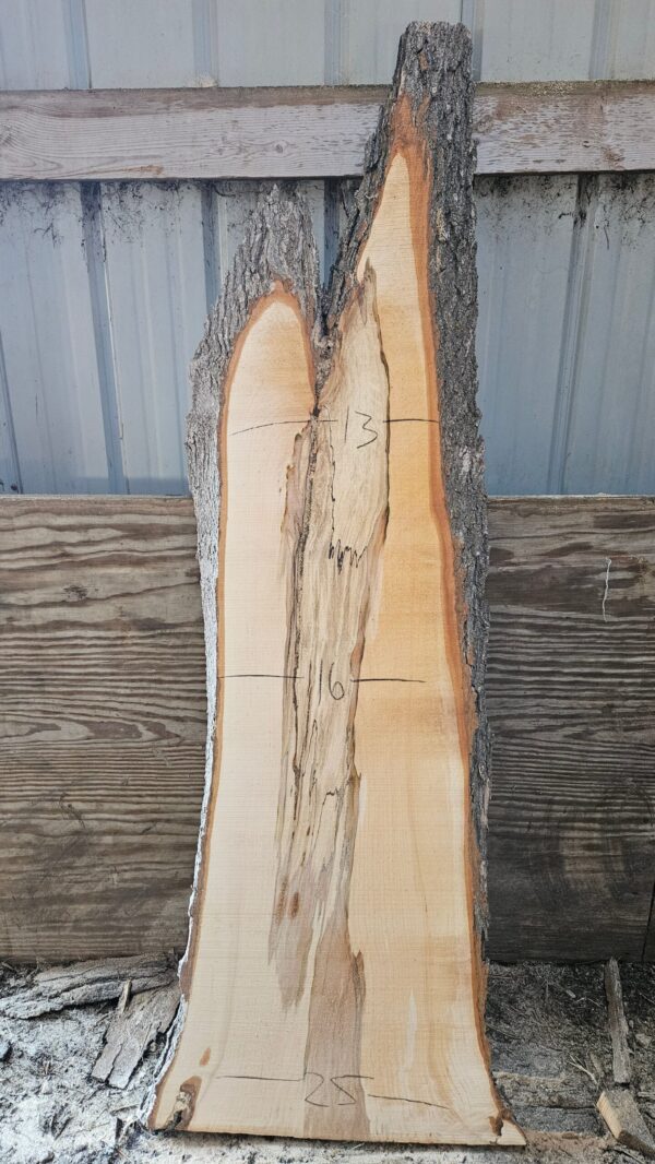 HM00002_4.jpg Spalted Sugar Maple Live Edge Slab 56"-76"x18"-25"x2"