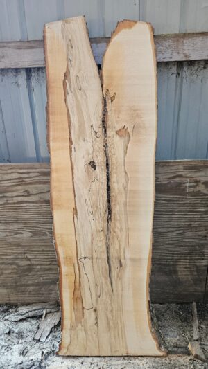 HM00003_1.jpg Spalted Sugar Maple Live Edge Slab 61"-76"x22"-23"x2"