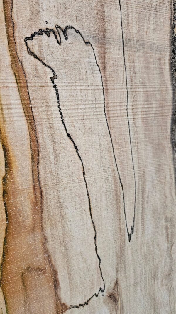 HM00003_2.jpg Spalted Sugar Maple Live Edge Slab 61"-76"x22"-23"x2"