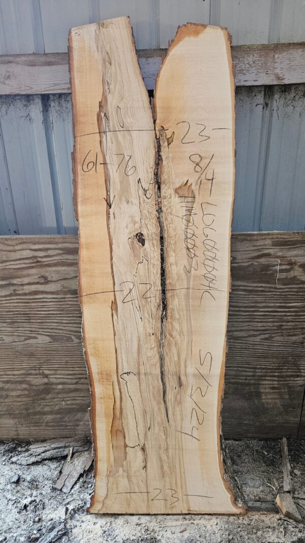 HM00003_3.jpg Spalted Sugar Maple Live Edge Slab 61"-76"x22"-23"x2"