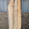 HM00003_4.jpg Spalted Sugar Maple Live Edge Slab 61"-76"x22"-23"x2"