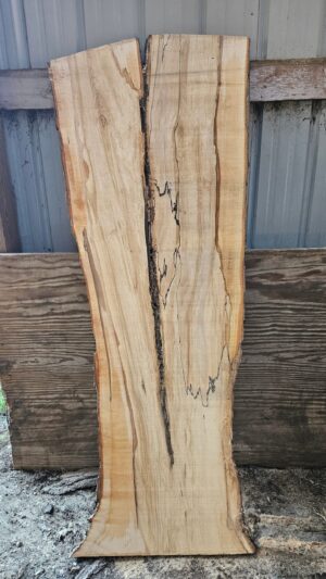 HM00004_1.jpg Spalted Sugar Maple Live Edge Slab 73"x22"-28"x2"