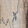 HM00004_2.jpg Spalted Sugar Maple Live Edge Slab 73"x22"-28"x2"