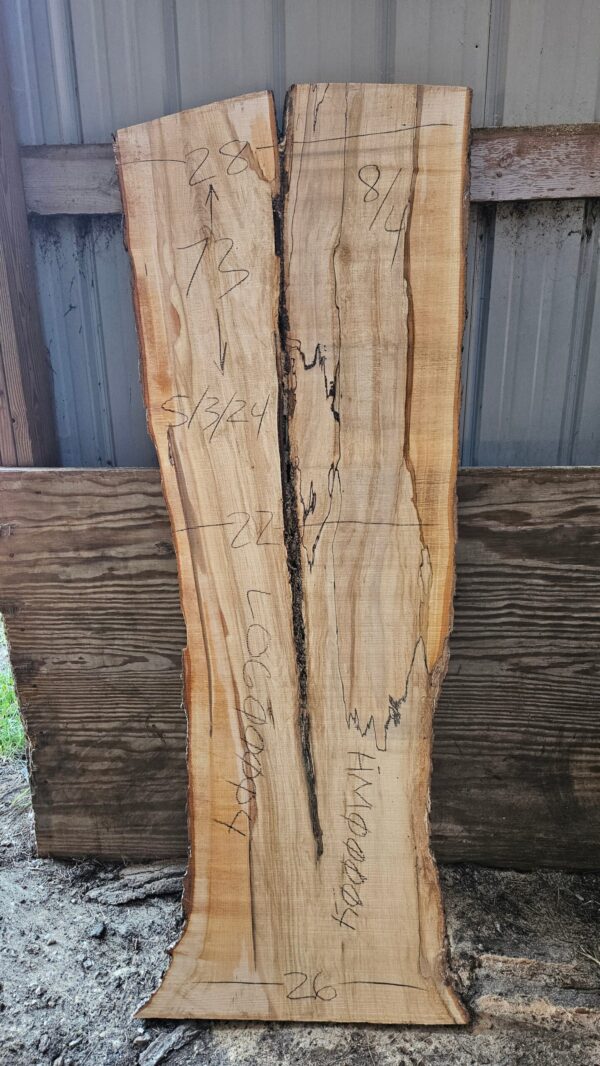 HM00004_3.jpg Spalted Sugar Maple Live Edge Slab 73"x22"-28"x2"