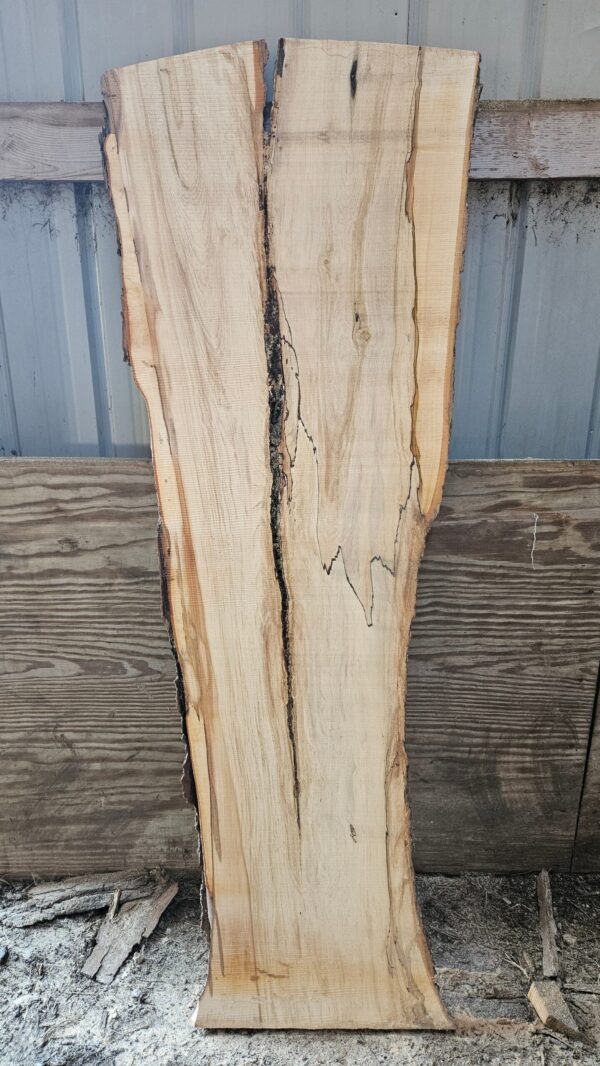 HM00005_1.jpg Spalted Sugar Maple Live Edge Slab 74"x19"-27"x2"