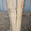 HM00005_3.jpg Spalted Sugar Maple Live Edge Slab 74"x19"-27"x2"