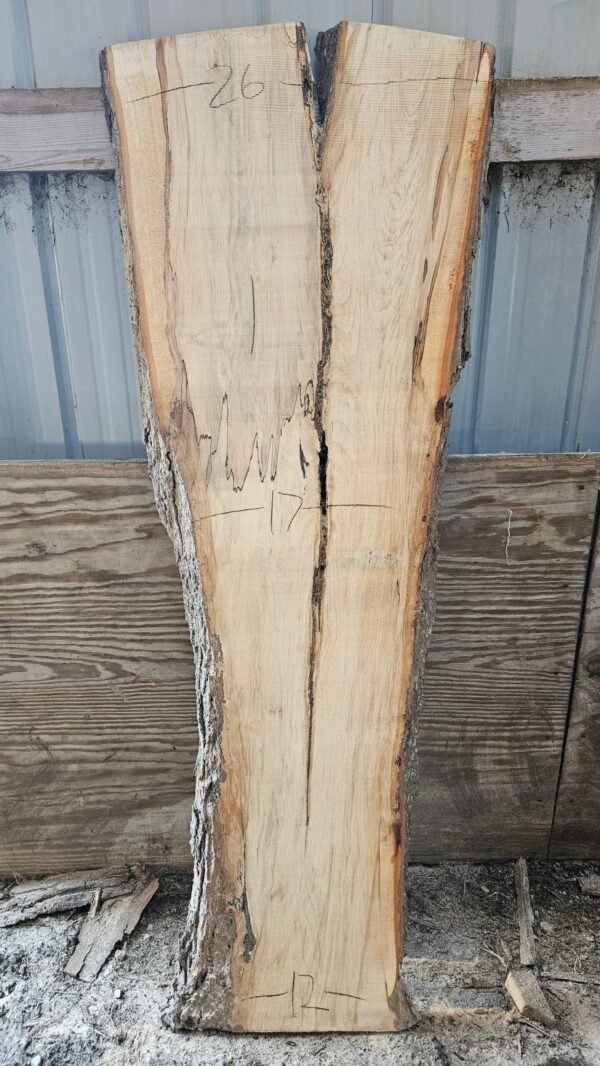 HM00005_3.jpg Spalted Sugar Maple Live Edge Slab 74"x19"-27"x2"