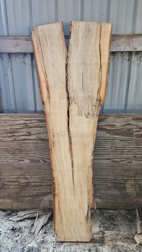 HM00006_2.jpg Spalted Sugar Maple Live Edge Slab 74"x11"-26"x2"