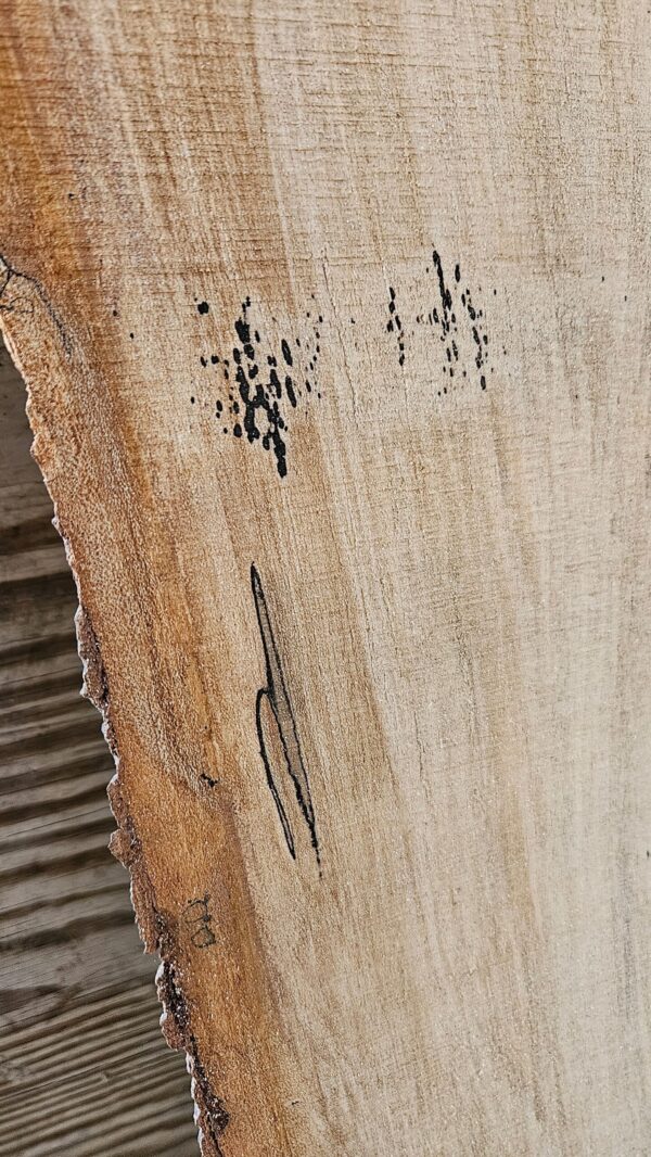 HM00006_3.jpg Spalted Sugar Maple Live Edge Slab 74"x11"-26"x2"