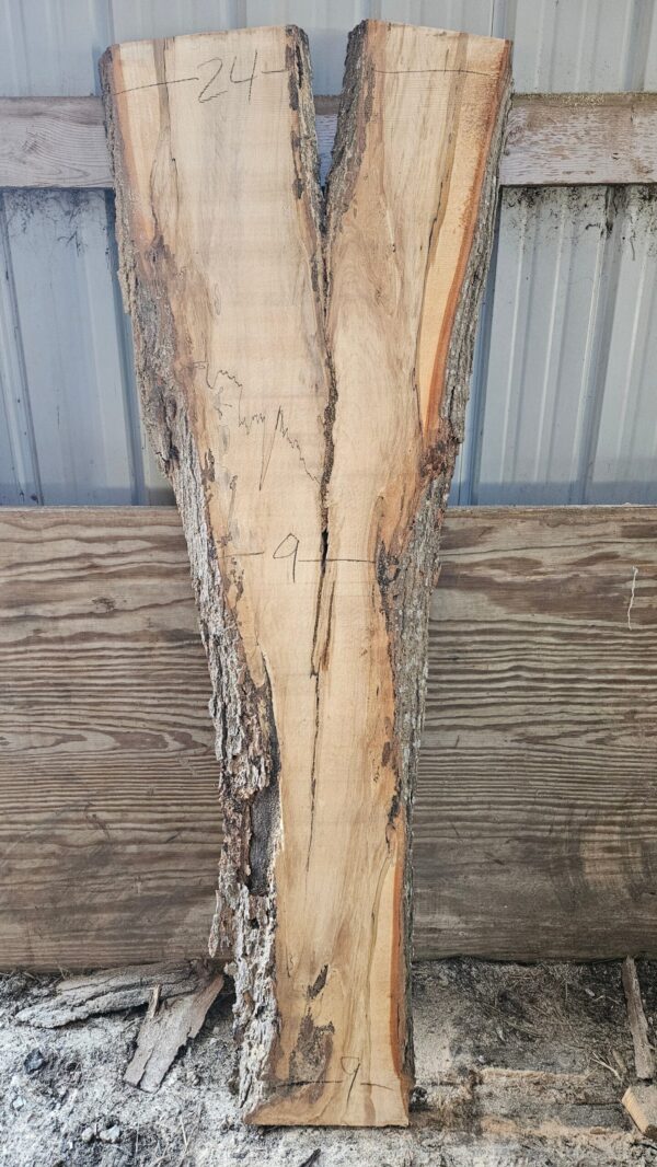 HM00006_5.jpg Spalted Sugar Maple Live Edge Slab 74"x11"-26"x2"