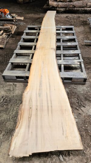 HM00007_1.jpg Sugar Maple Live Edge Slab 196"x12"-29"x2.5"