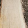 HM00007_4.jpg Sugar Maple Live Edge Slab 196"x12"-29"x2.5"