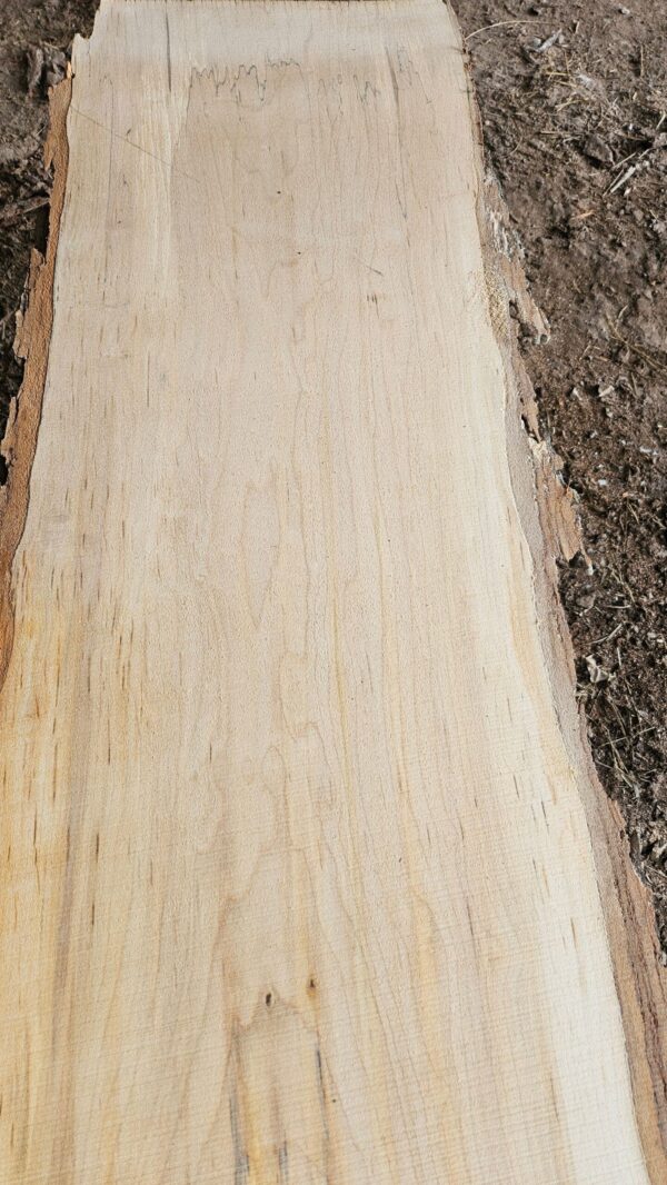 HM00007_4.jpg Sugar Maple Live Edge Slab 196"x12"-29"x2.5"