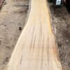 HM00008_1.jpg Sugar Maple Live Edge Slab 196"x18"-31"x2.5"
