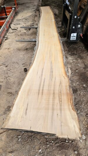 HM00008_1.jpg Sugar Maple Live Edge Slab 196"x18"-31"x2.5"