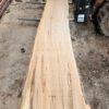 HM00008_3.jpg Sugar Maple Live Edge Slab 196"x18"-31"x2.5"