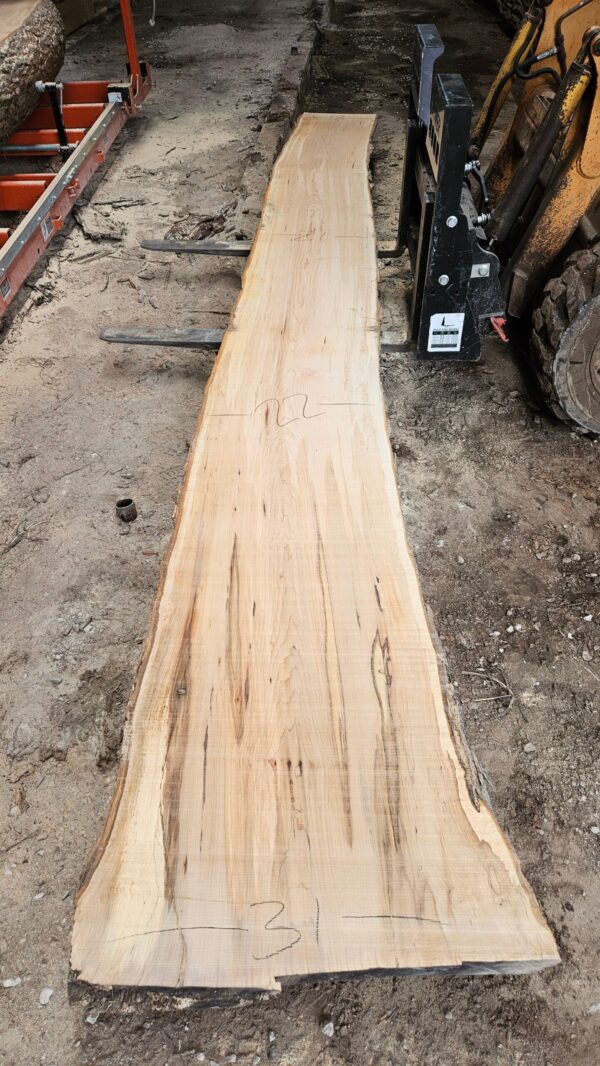 HM00008_3.jpg Sugar Maple Live Edge Slab 196"x18"-31"x2.5"